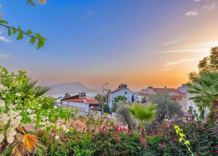 3 Bedroom - 6622 Villa *